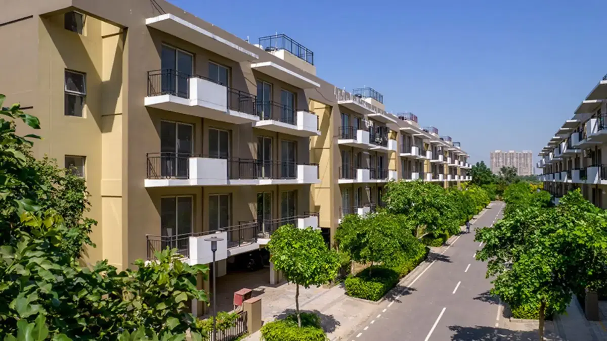 685e783316d88b14a046e111