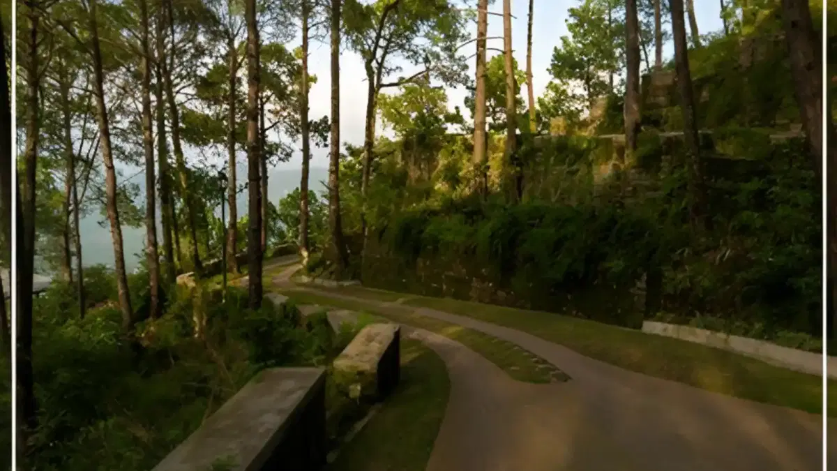 DLF-Samavana-Studi-Apartments-and-Plots-Himachal-Pradesh-Greenry