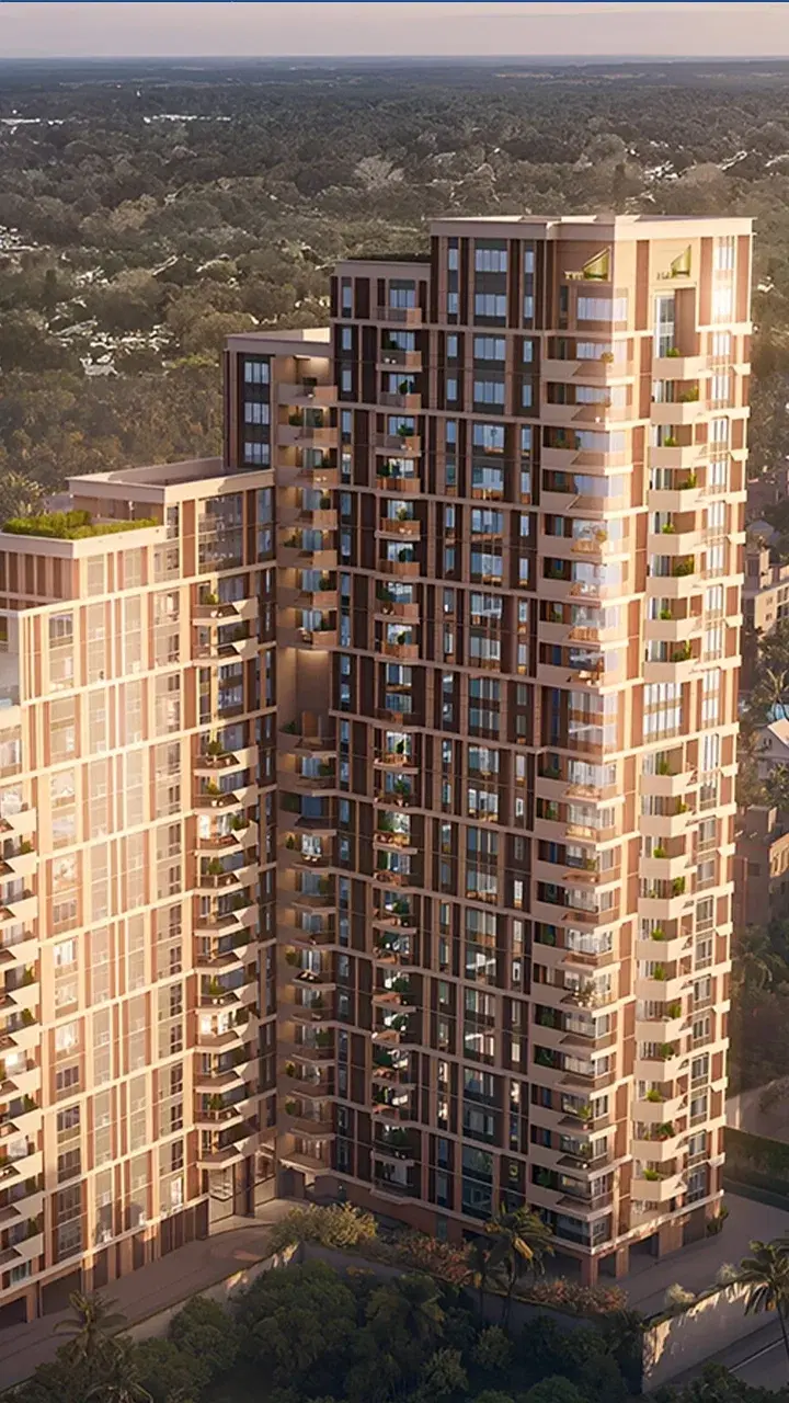 6735a42215e2265656f94e49