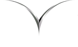 vivarea bang foot logo