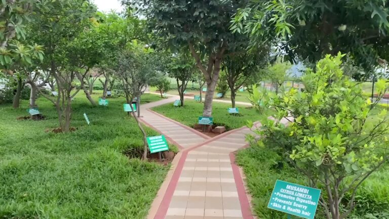 Sammy's Palm Hills Plots in North Bangalore Garden