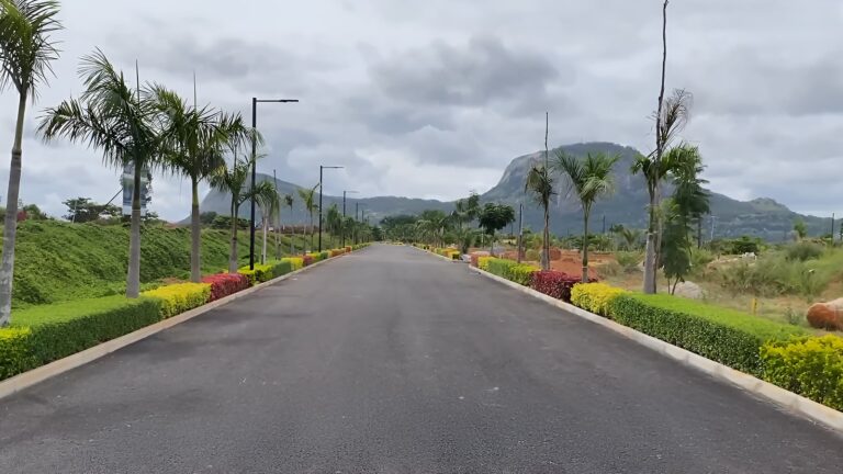 Sammy's Palm Hills Plots in North Bangalore Internal road