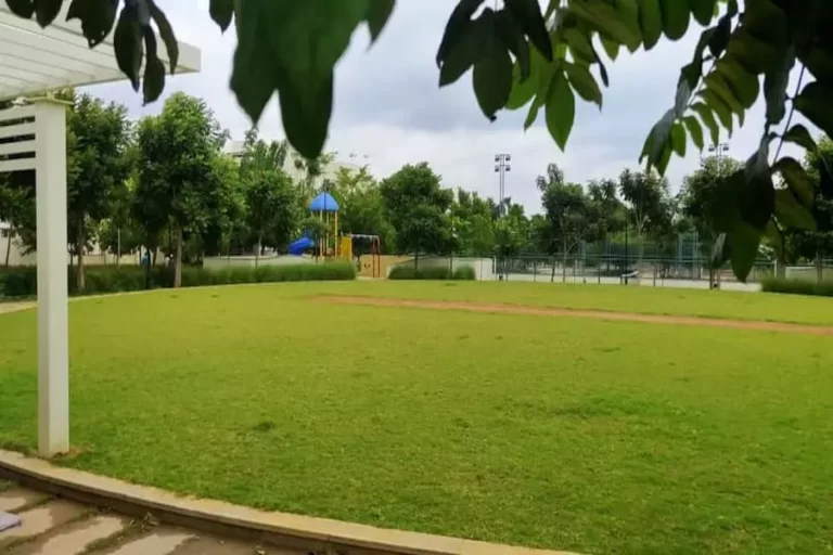 Ncc-Urban-Green-Province-Cricket-Pitch