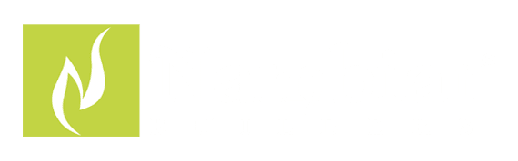 Nambiar-builders-logo-white