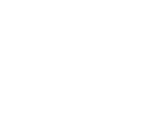 NVT_QL_logo-White