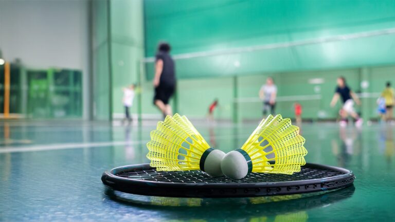 brigade gateway neopolis kokapet hyderabad gallery badminton and indoor game