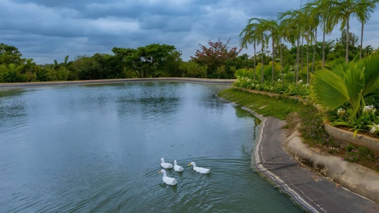 Frangipani estates villa plots in sarjapur road bangalore G 31