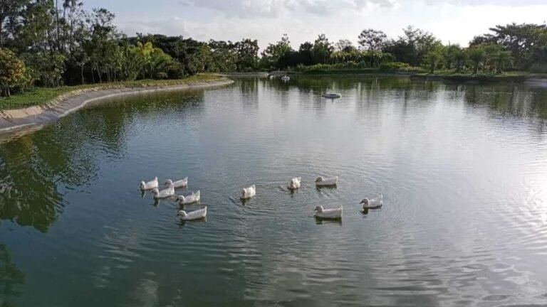 Frangipani estates villa plots in sarjapur road bangalore G 7