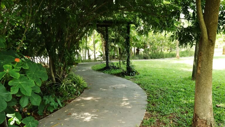 Frangipani estates villa plots in sarjapur road bangalore color tree garden
