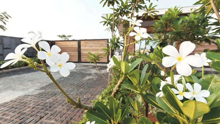 Frangipani estates villa plots in sarjapur road bangalore g 2