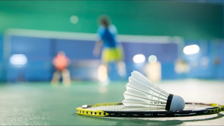 Sattva Park Cubix Apartment in North Bangalore badminton
