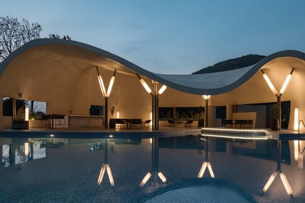 SRK The Roots Banner Image